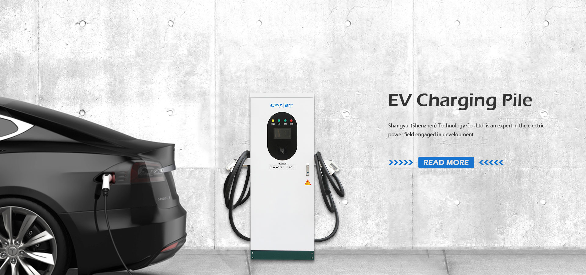 Sina EV dato Pile